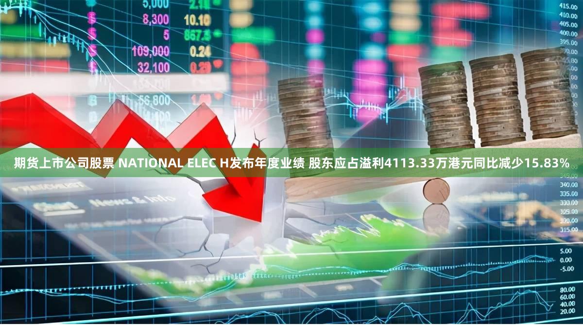 期货上市公司股票 NATIONAL ELEC H发布年度业绩 股东应占溢利4113.33万港元同比减少15.83%