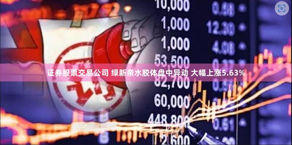 证券股票交易公司 绿新亲水胶体盘中异动 大幅上涨5.63%