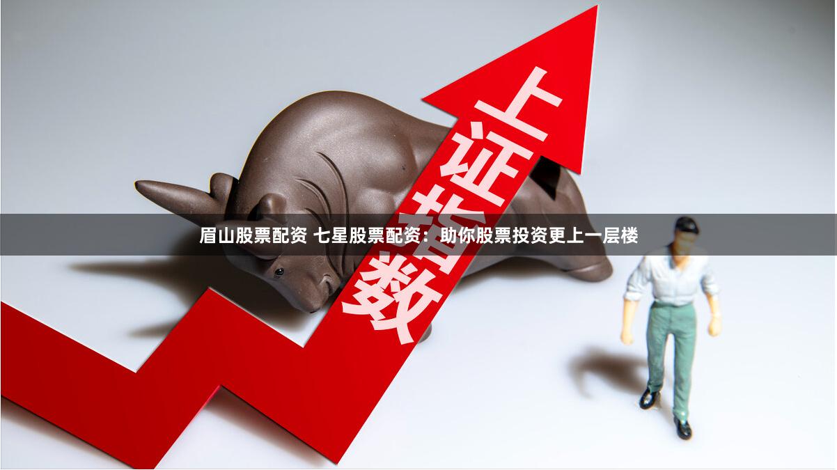 眉山股票配资 七星股票配资：助你股票投资更上一层楼