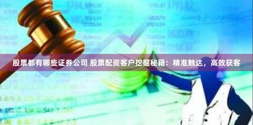 股票都有哪些证券公司 股票配资客户挖掘秘籍：精准触达，高效获客