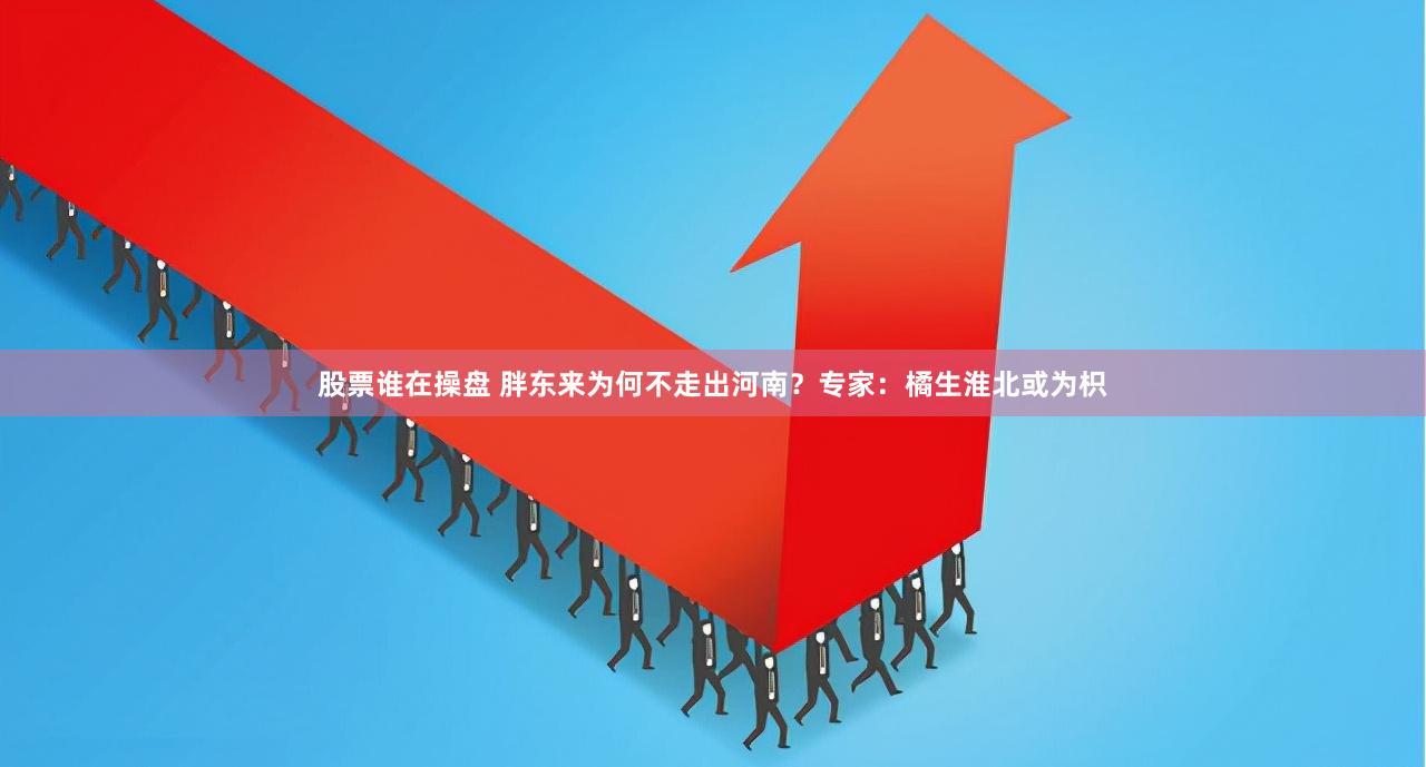 股票谁在操盘 胖东来为何不走出河南？专家：橘生淮北或为枳