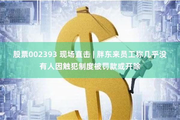 股票002393 现场直击 | 胖东来员工称几乎没有人因触犯制度被罚款或开除