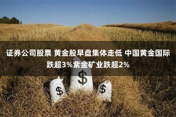 证券公司股票 黄金股早盘集体走低 中国黄金国际跌超3%紫金矿业跌超2%