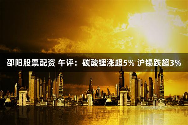 邵阳股票配资 午评：碳酸锂涨超5% 沪锡跌超3%