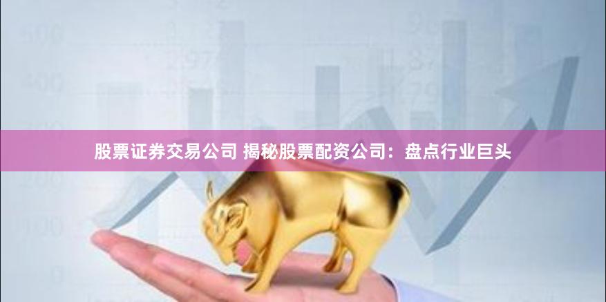 股票证券交易公司 揭秘股票配资公司：盘点行业巨头