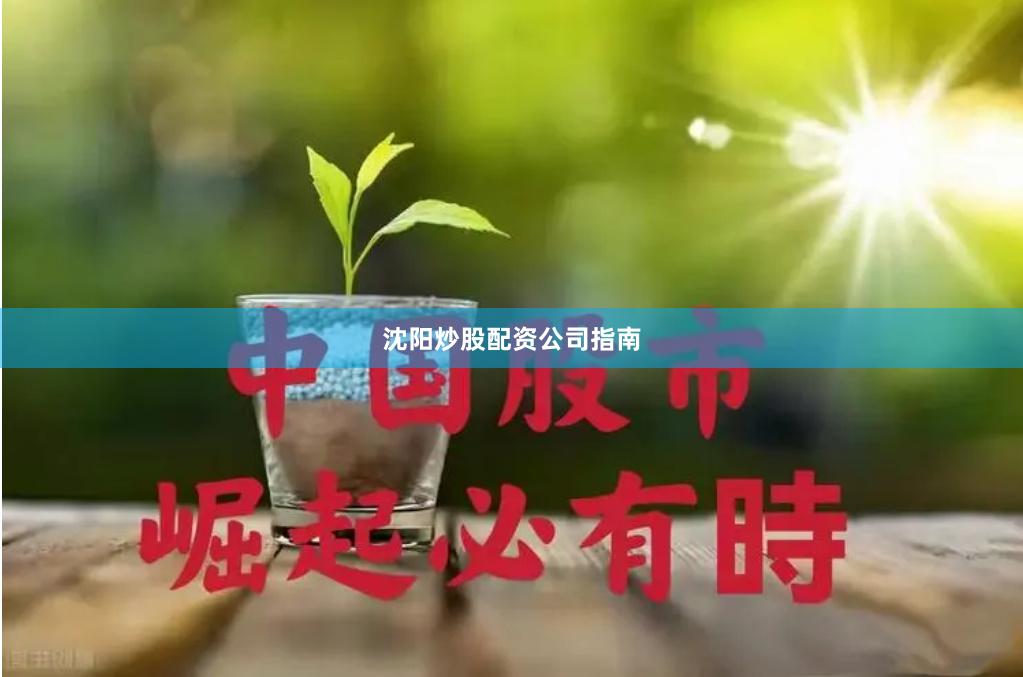 沈阳炒股配资公司指南