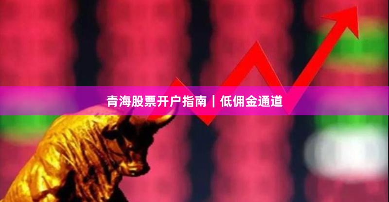青海股票开户指南｜低佣金通道
